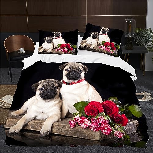 pO zcJo[ q LO |zcJo[ 3_Zbg }CNt@Co[ 􂦂  y  zcZbg 230x210cm  Jo[ 2 43x63cm