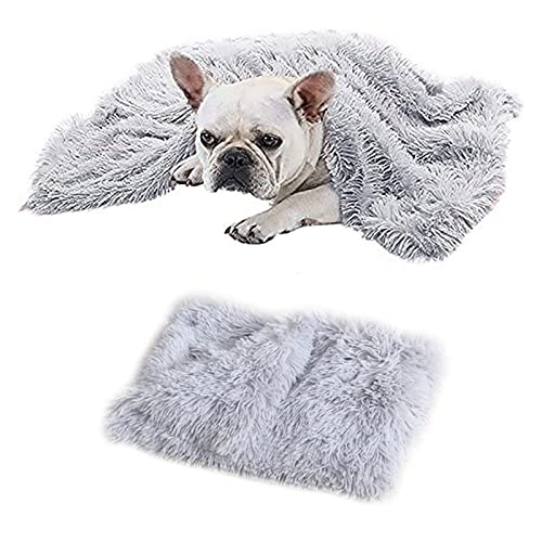 MIOKY Flauschige Hundedecke Katzendecke für Kleine Welpe Kätzchen 100 x 75 cm,Doppelseitige Plüschdecke Haustier Weiche Warme Kunstfell Fleece Decke Waschbare Schlafdecke Hundebett,Grau Cover