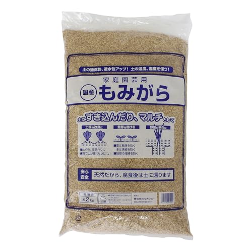 ^JV[ _Ǝ ݂ Q wb_[Ȃ  R V 悯 ݂