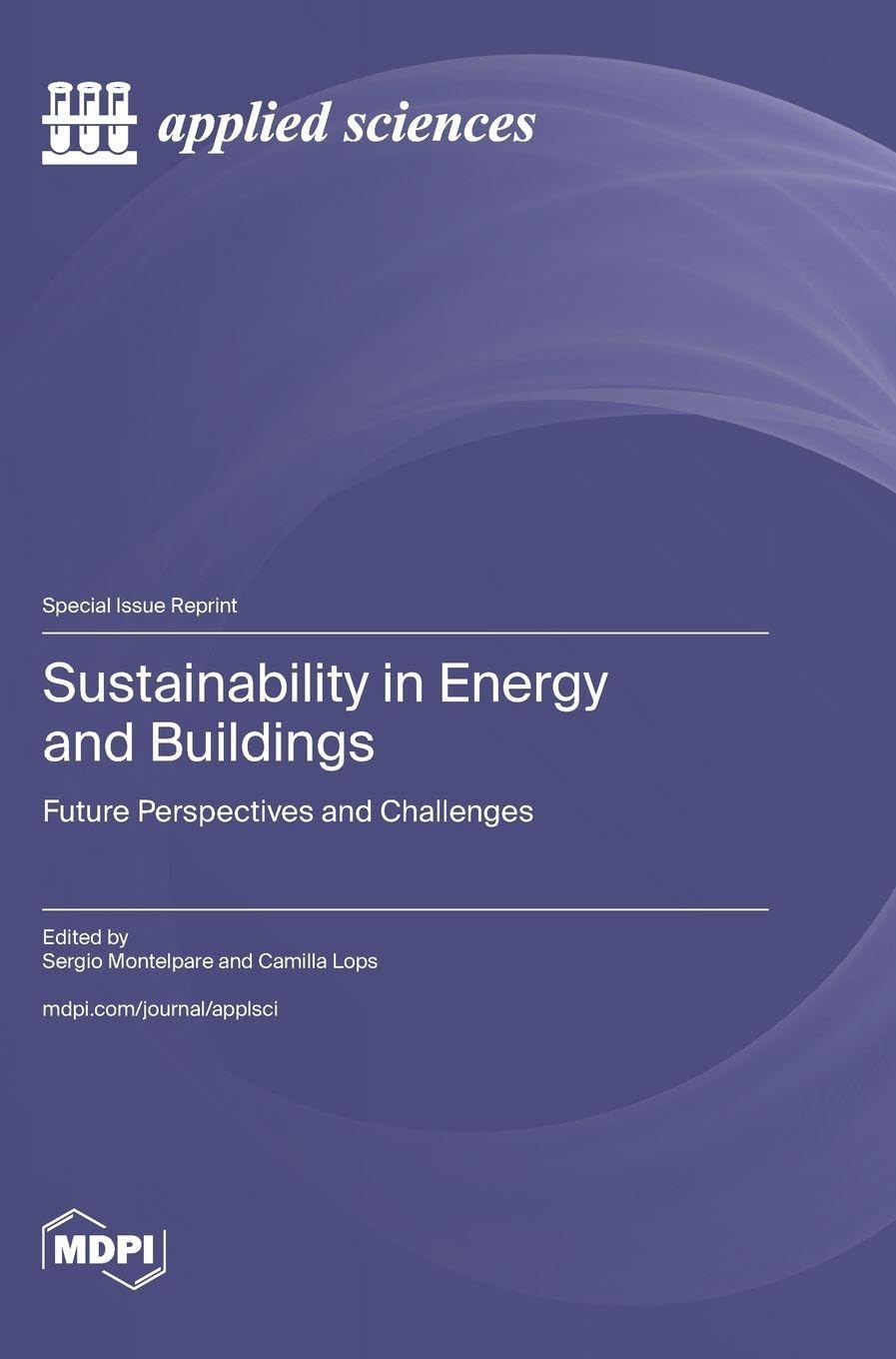 Sustainability in Energy and Buildings: Future Perspectives and Challenges