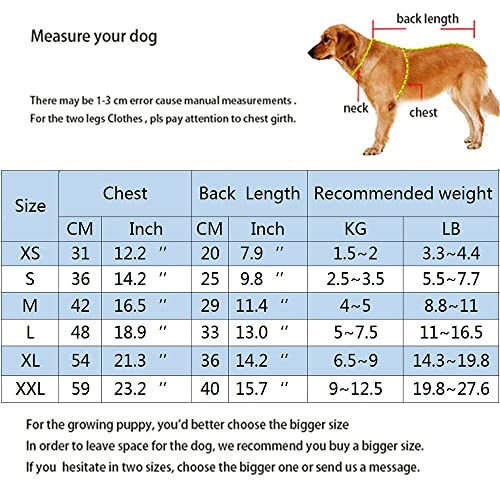 Miaododo Fleece Vest Dog Sweater With D-Ring Leash- Winter Small Dog Sweater Coat-Cold Weather Dog Clothes For Small Medium Dogs Boy/Girl(Grey,Xs) #TOP5