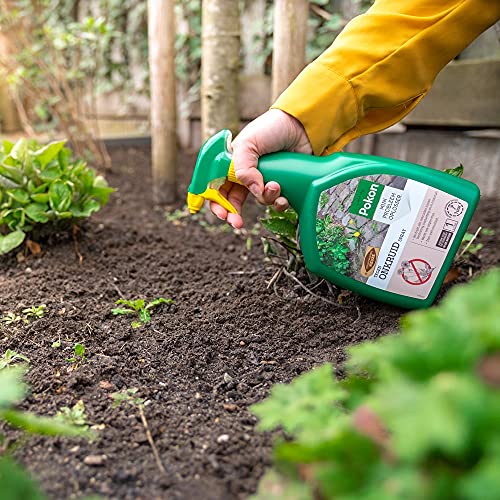 Pokon Tegen Onkruid Spray - Snelle en effectieve onkruidbestrijder - Binnen 1 uur resultaat - 1 liter - Image 5