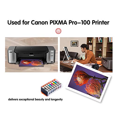 F Finders&Co Compatible Ink Cartridges Replacement For Canon Cli42 Cli-42 Ink For Canon Pixma Pro-100 Pro-100S Printer (2Bk 2C 2M 2Y 2Pc 2Pm 2Gy 2Lgy, 16-Pack) #TOP1