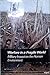 Warfare in a Fragile World: Military Impact on the Human Environment