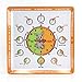 Educational Mealtime Plates for Kids, Set of 4 Unique Designs; Fun and Colorful Sturdy Melamine Plates for Children of All Ages; BPA Free