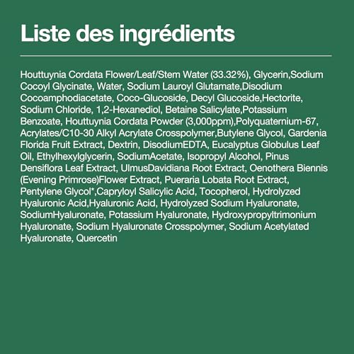 Anua Heartleaf Quercetinol Pore Deep Cleansing Foam, Gesichtsreiniger, Facial cleanser, Korean Skincare, für Doppelreinigung, BHA, Hyaluronsäure, Blackhead Remover, Glycerin 150ml