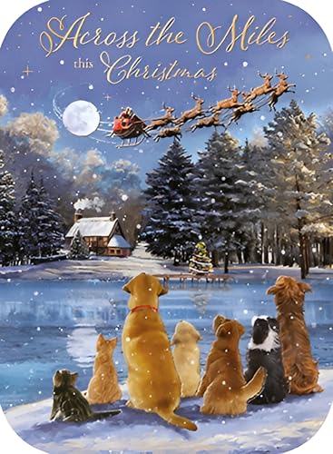 Noel Tatt 'Across the Miles' Christmas Card - Festive Dogs, Cats & Santa's Sleigh in the Snow - Premium Special Christmas Greeting Card with Envelope for Family or Friends