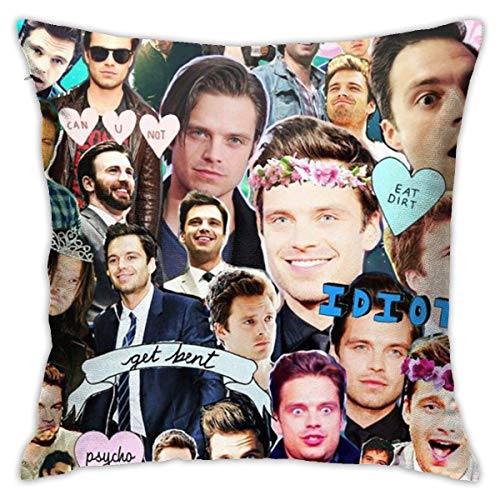 Sebastian Stan taies d'oreiller taies d'oreiller oreillers Coussins décoratifs taie d'oreiller Couvre pour Voiture canapé-lit décor à la Maison 18 "X18 Cover