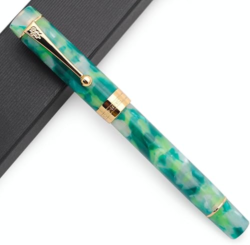 JINHAO 100 - Pluma estilográfica con convertidor de tinta (punta media de 0.028 in, verde fantástico)