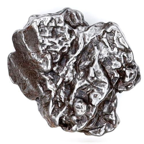 DANCING BEAR Real Meteorite Extra Large (35-55g) Genuine from Campo Del Cielo Argentina, Certificate of Authenticity, Display Stand, ID Card, Space Rock, Assembled in The USA