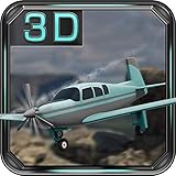 Feel like a real pilot and make your dream come true!