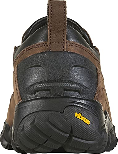 Oboz Big Sky Ii Low Insulated B-Dry Hiking Shoe - Men's Adirondack 10 #TOP3