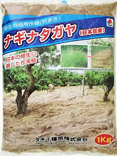 新品未使用！草生栽培に是非！ナギナタガヤ 緑肥] 草生栽培用作物(秋まき)ナギナタガヤ(日本在来) 1kg