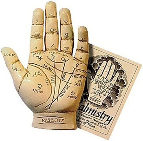 Palmistry Hand Model Resin Sculpture Fortune Telling Palm Reading with Booklet Palmistry Hand Model Resin Sculpture Fortune Telling Palm Reading with Booklet