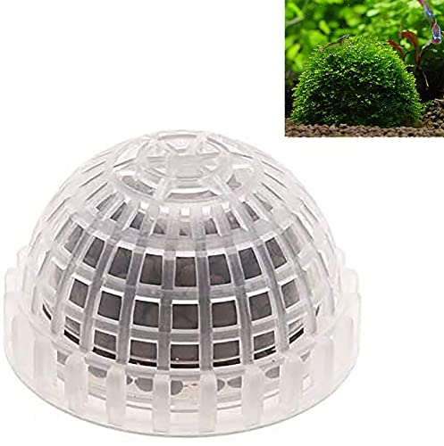 WANGCL Filtre à boule de mousse, boule d'herbe pour aquarium avec boules minérales, plantes vivantes flottantes pour décoration d'aquarium sans graines