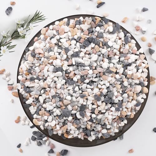 Image of 5 lbs Small Rocks for Plants, 1 /5 Inch Pebbles for Indoor Plants, Natural Decorative Pea Gravel for Aquarium, Fish Tank, Terrarium, Succulents, Bamboo Plants, Vases, Cactus, Crafts