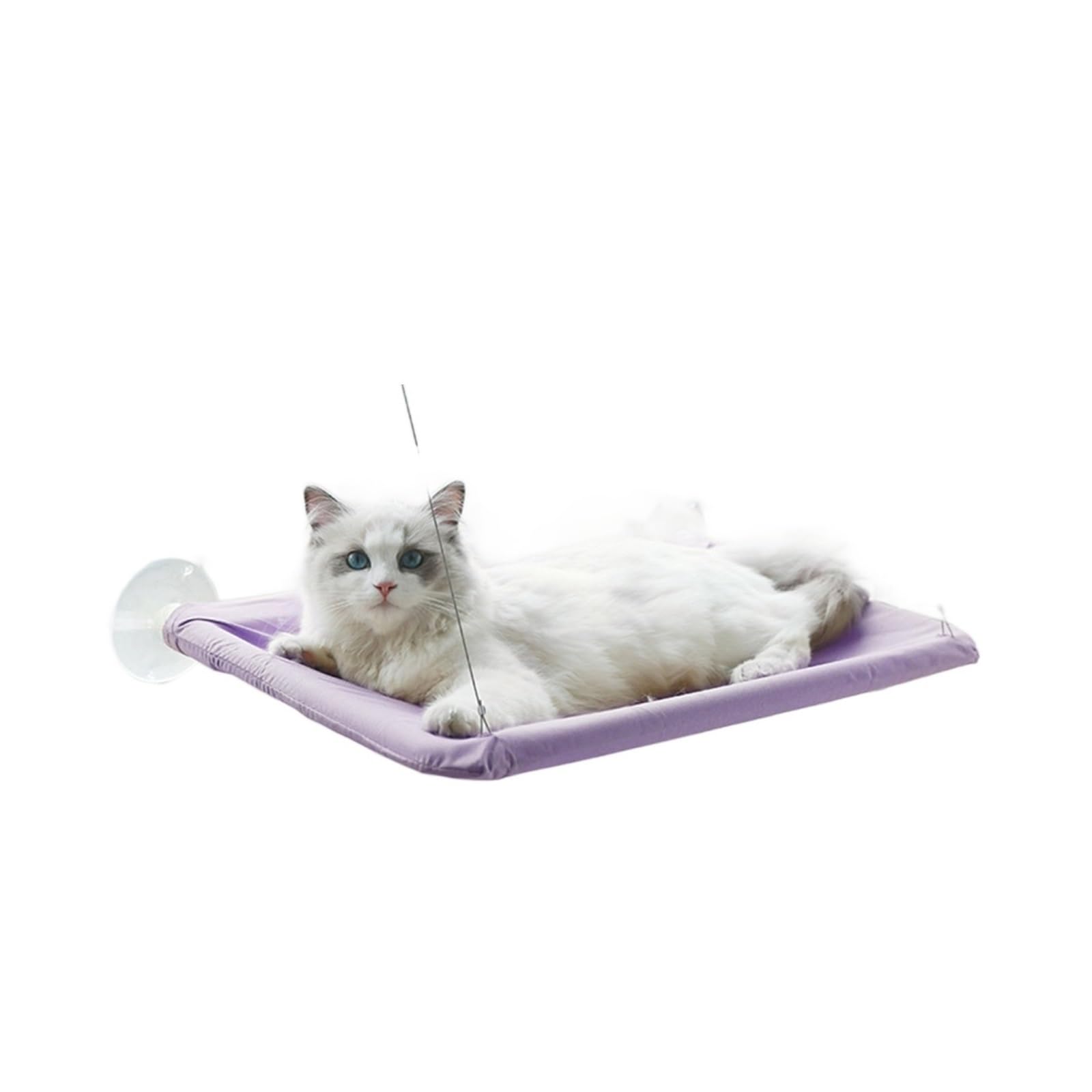 Haustier Katze Hängematte Hängen Bett Lager 20Kg Bequeme Sunny Fenster Sitz Halterung Kätzchen Klettergerüst Zubehör Stabil Komfortabel(Purple-55x35)