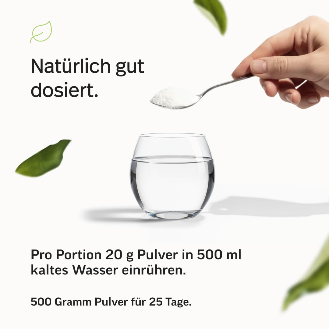 edubily® Clear Protein Vegan – 78% Protein aus Erbsen-Hydrolysat – Erfrischend & gut löslich – Laktosefrei - Mit Stevia - Clear Whey Alternative - Laborgeprüft (500 g, Mango Maracuja)