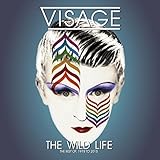 visage fade to grey michael gray remix  Fade To Grey (Main Version)