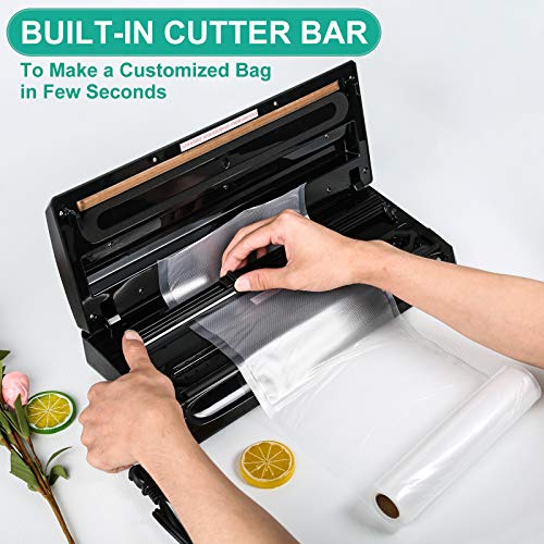 Belifu Vacuum Sealer Machine, Automatic Vacuum Air Sealing System For Food Savers with Starter Kit, Compact Design, Dry & Moist Food Modes, Built-in Cutter, LED Indicator Lights, Compact Design for Sous Vide and Food Storage (Stainless Steel)