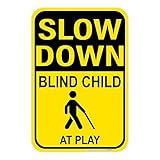Slow Down, Blind Child (Symbol) At Play Sign, 12'x18', UV protected, weather resistant, visible day...