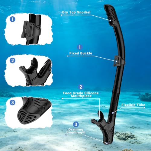 Set de Snorkel para Adultos, Mascara de Buceo con Tubo Seco, Gafas de Natación para Adultos miniatura 7