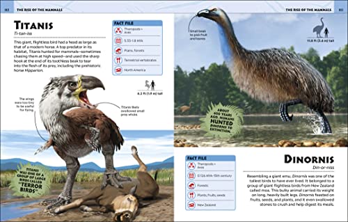 Extraordinary Dinosaurs and Other Prehistoric Life Visual Encyclopedia 7 51ECflvsHLL