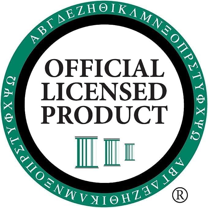 – Delta Zeta Sorority Merch – Sterling Silver Pendant with 18" Silver Chain and Cubic Zirconia Turtle Design – High-Quality Sorority Jewelry Gift - Image 2