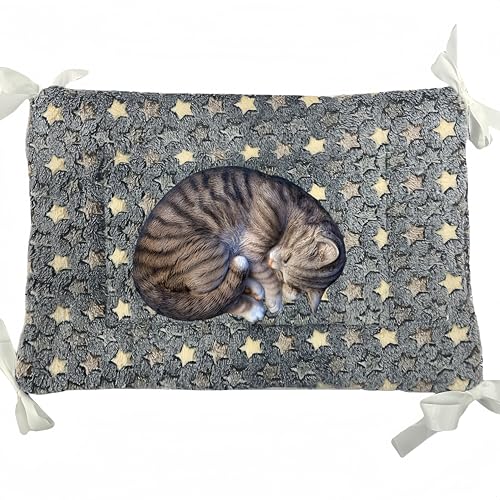 JOYFUSION ybg }bg P[Wp L xbh Lbg^[ lRt Ȃ 􂦂 Lbg^[ 􂦂  ybgxbh (CgO[)