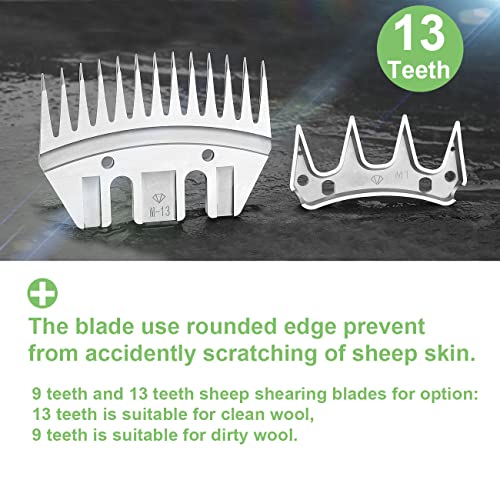 13 Tooth Pet & Livestock Shearing Replacement Blades for fit Oster, Lister, Heiniger Sheep Clippers, Detachable Animal Trimmer Shears for Grooming Goats, Lambs, Llamas, Alpacas (13 Tooth) 13 Tooth Pet & Livestock Shearing Replacement Blades for fit Oster, Lister, Heiniger Sheep Clippers, Detachable Animal Trimmer Shears for Grooming Goats, Lambs, Llamas, Alpacas (13 Tooth)