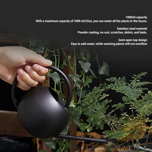 Regador, Suavemente Regador de Jardim, Bico Longo, Grande Capacidade, Aço Inoxidável, 1000ml, para E