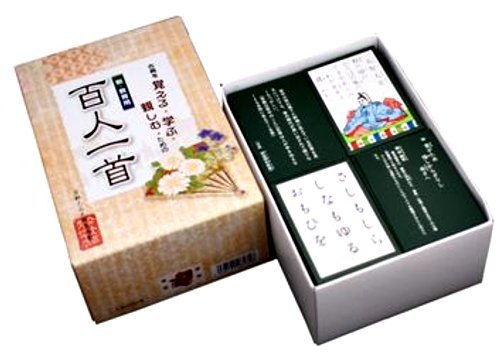 New education for Isshu (Japan import / The package and the manual are written in Japanese)