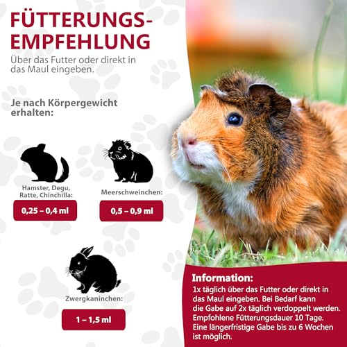 alfavet RodiCare Pulmo, Doppelpack, zur Unterstützung der Atemwege von Meerschweinchen und Kleinnagern, Ergänzungsfuttermittel, 2 x 20ml, Dosierspritze