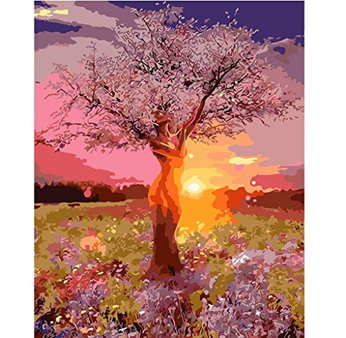 TianMaiGeLun Paint by Number Kits Sunrise View Fairy Tree 16x20 inch Linen Canvas Paintworks - Digital Oil Painting Canvas Kits for Adults Children Kids Decorations Gifts (880, No Frame)