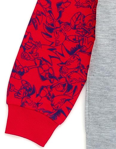 Image of SEGA Sonic the Hedgehog Boys' Fleece Hoodie Toddler to Big Kid