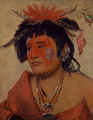Toile George Catlin affiche impression déco murale 60x90