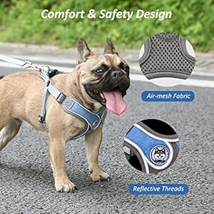 Dog harness with leash set no pull adjustable step in dog collars harness with breathable padded vest harness for small medium large dogs training and runningm blue   cucciolini doodles
