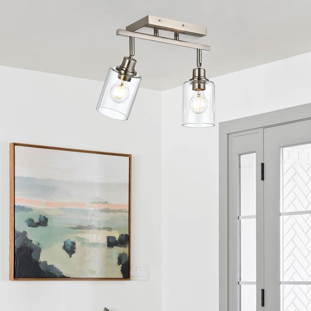 2 Light Track Lighting,Modern Track Lighting Fixtures Ceiling,Brushed Nickel Ceiling Spot Lights with Clear Glass Shade Flexibly Rotatable Light Head for Kitchen, Living Room
