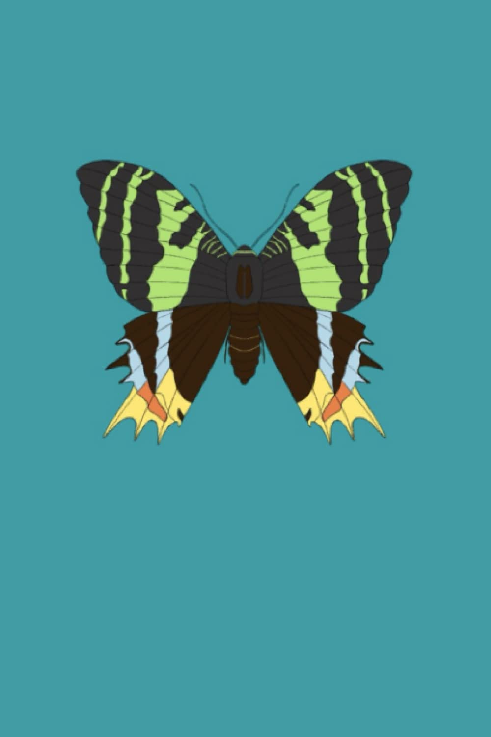 Madagascan Sunset Moth Art Journal