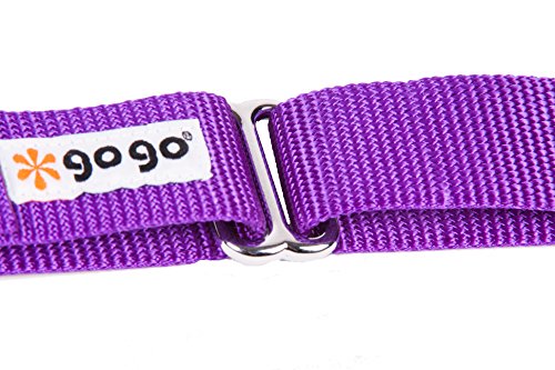 Gogo Pet Products Gogo 3/4-Inch Martingale Dog Collar, Medium, Purple #TOP6