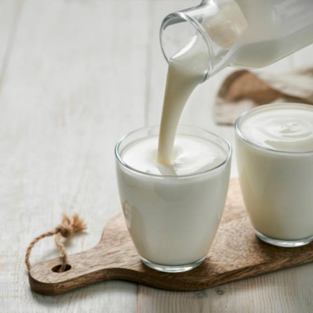 PUFAI Bundle – Kefir Pur 500 g x 12 | Fermentiertes Milchgetränk natur | Kühlpflichtiges Frischeprodukt im Vorratspack