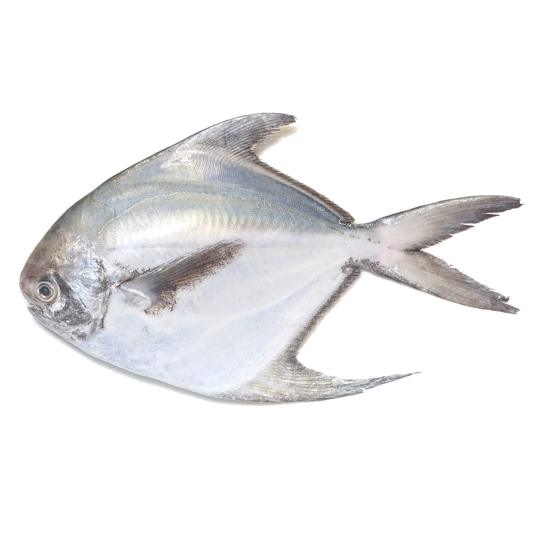 ilver Pomfret Fish ~350g x 2 | Premium Whole Pomfret | Fresh Frozen Wild-Caught Seafood | Cleaned & Ready to Cook | Ideal for Grilling, Frying or Steaming