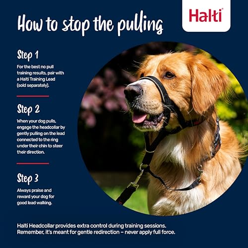 Halti Halfter, damit dein Hund nicht an der Leine zerrt. Verstellbar, reflektierend und leicht, mit gepolstertem Nasenband. Hundetraining-Halsband für mittelgroße Hunde (Größe 2, Rot)