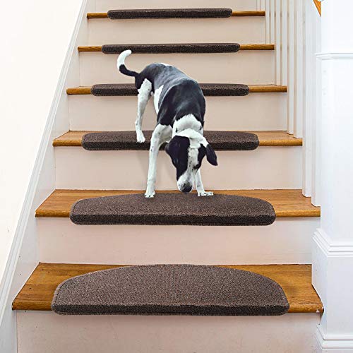 The 5 Best Stair Treads For Dogs Latest Reviews & Helpful Buyer’s