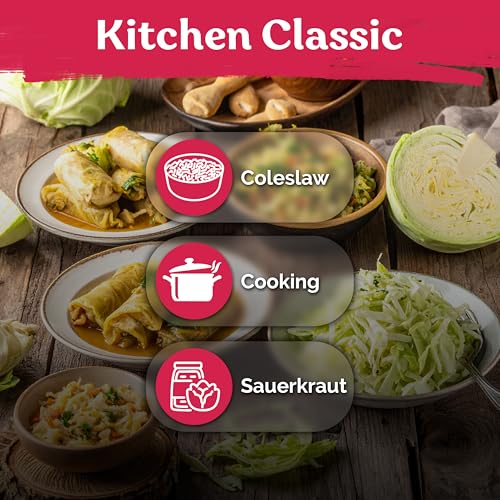 image for KVITER 1000 Early Round Dutch Cabbage Seeds (Brassica Oleracea) - Cold