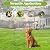 Sunnyglade 10 Panels No Dig Decorative Outdoor Garden Fence for Yard, 24in(H) X 25 ft(L) Animal Barrier Fencing Rustproof Metal Wire Panel Border for Dog, Rabbits or Any Small-Bodied Animal