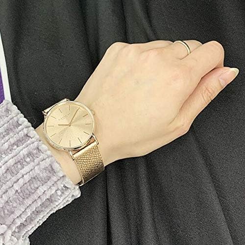 極希少】レスリー•チャン 張國榮 金枝玉葉限量版豪華LD禮盒版