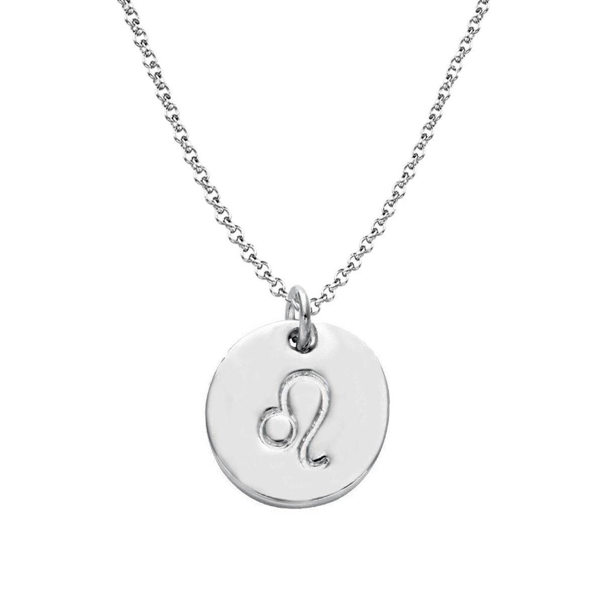 925 Sterling Silver Zodiac Necklace Disc Charm Necklace Gift for Your Wife Girlfriend or Family Member