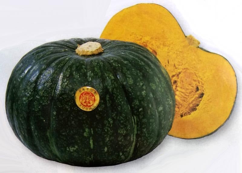 宮内庁御用達窯 十四代 辻常陸 染付 鳳凰唐草文 花瓶 宮内庁