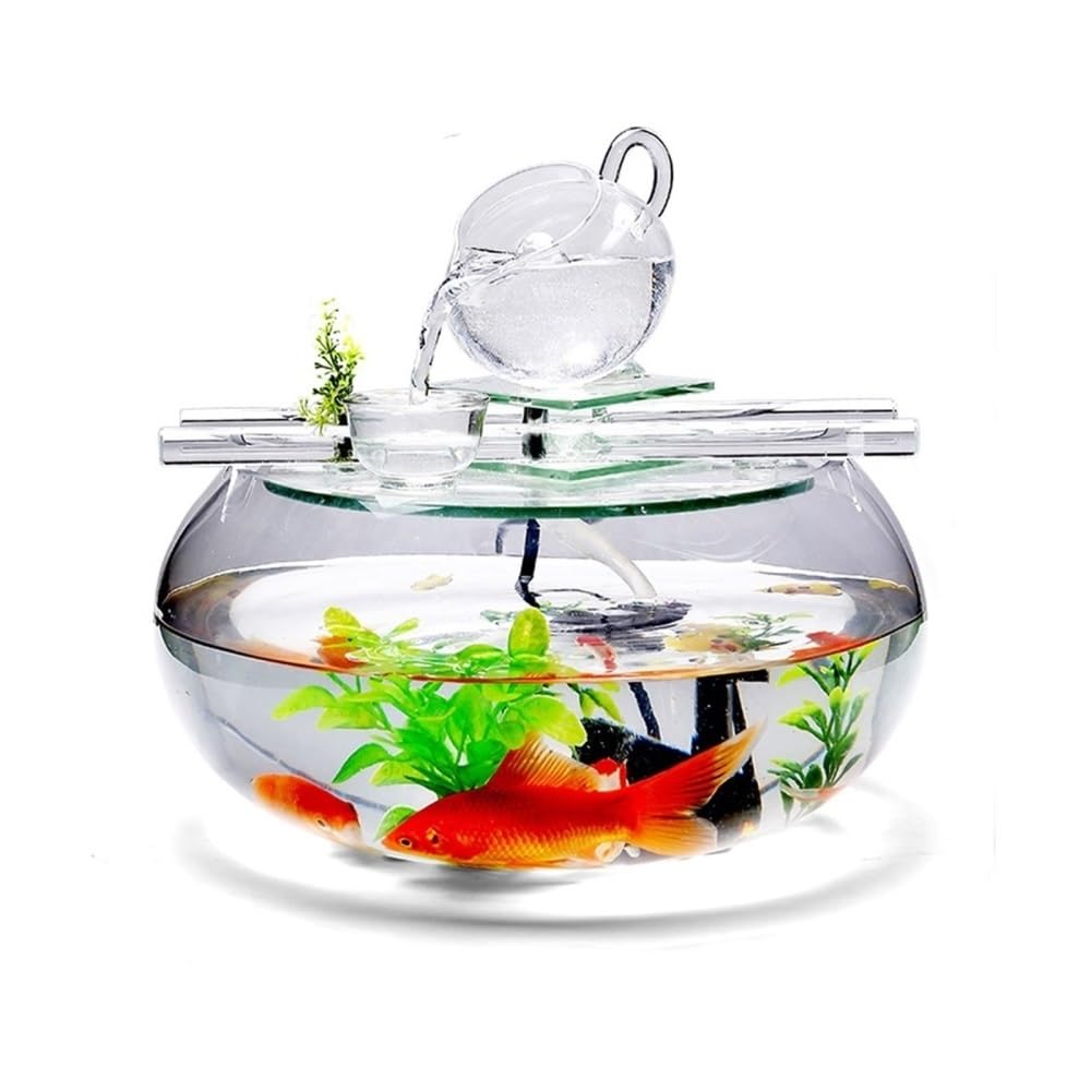 Acquario Acquario rotondo in vetro for ufficio, casa, decorazioni da tavolo, ornamentali, trasparenti, piccole